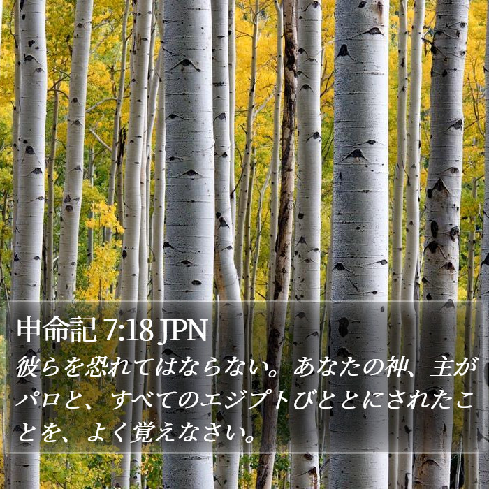 申命記 7:18 JPN Bible Study