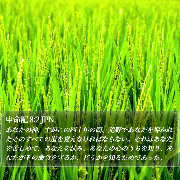 申命記 8:2 JPN Bible Study