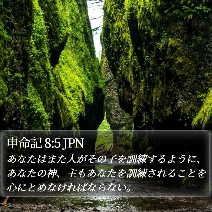 申命記 8:5 JPN Bible Study