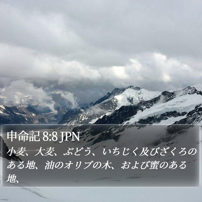 申命記 8:8 JPN Bible Study