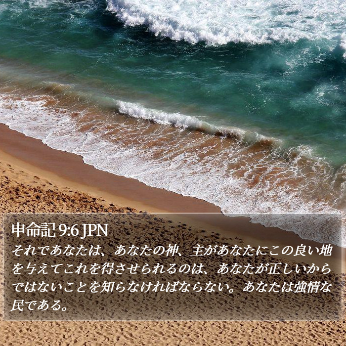 申命記 9:6 JPN Bible Study