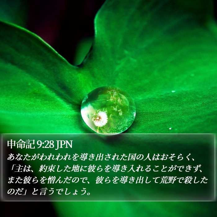 申命記 9:28 JPN Bible Study