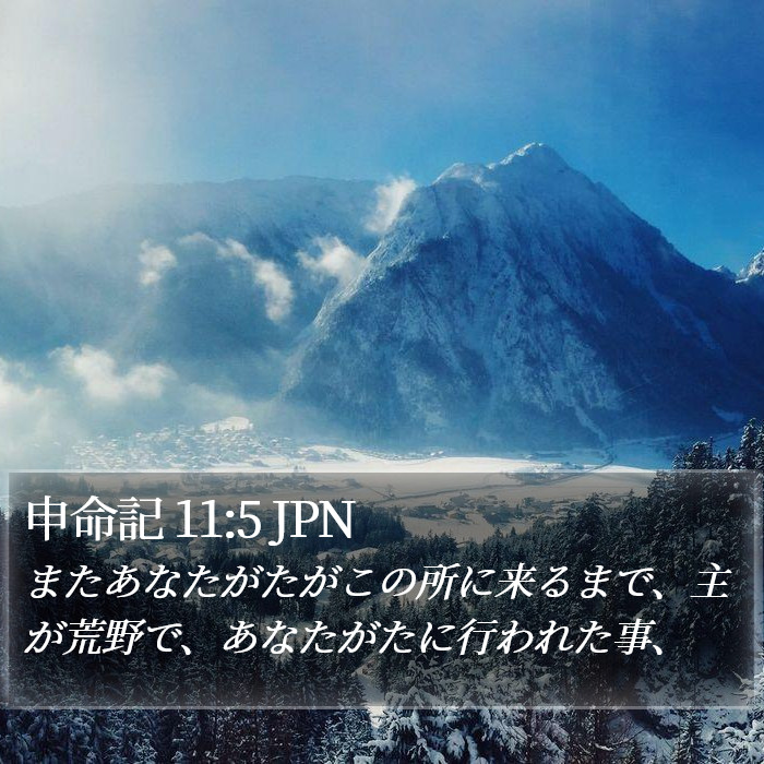 申命記 11:5 JPN Bible Study