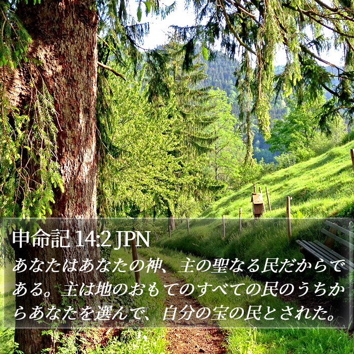 申命記 14:2 JPN Bible Study