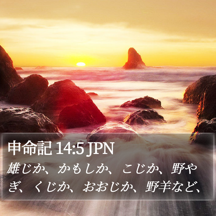 申命記 14:5 JPN Bible Study