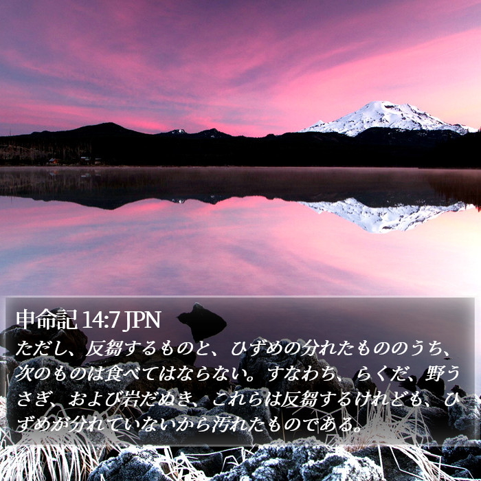 申命記 14:7 JPN Bible Study
