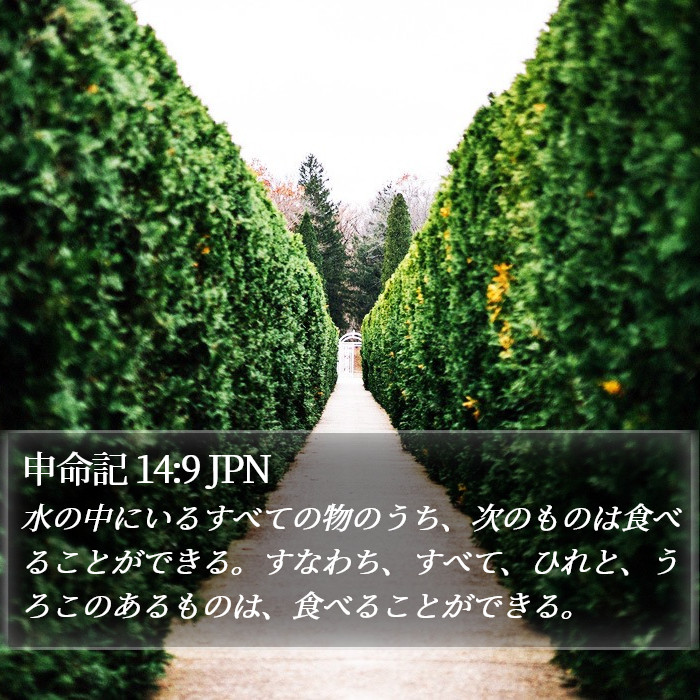 申命記 14:9 JPN Bible Study
