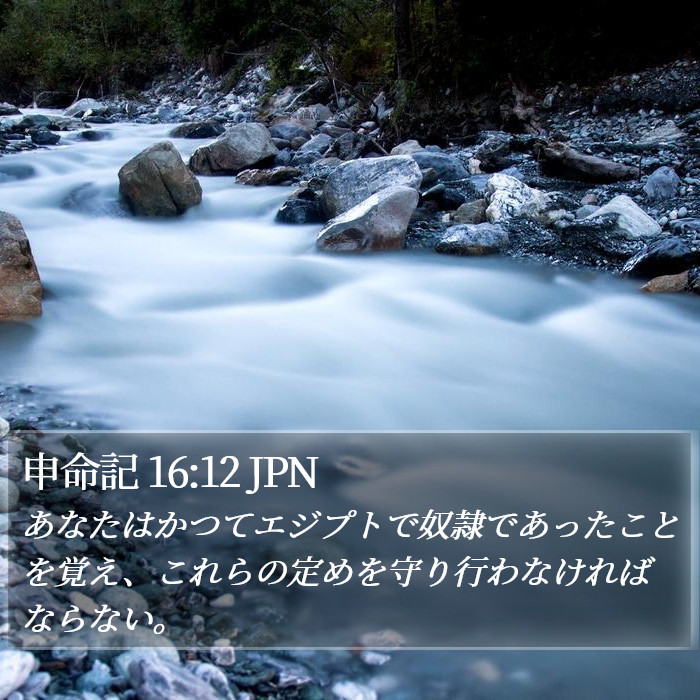 申命記 16:12 JPN Bible Study