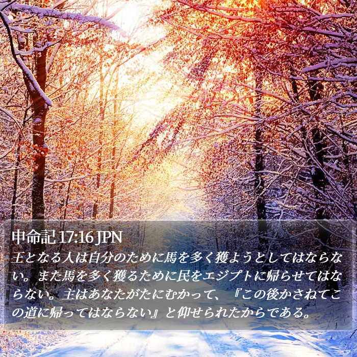 申命記 17:16 JPN Bible Study