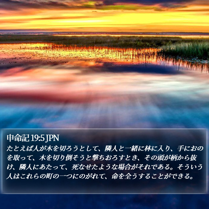 申命記 19:5 JPN Bible Study