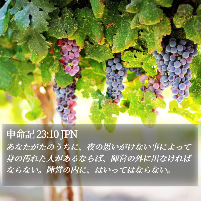申命記 23:10 JPN Bible Study