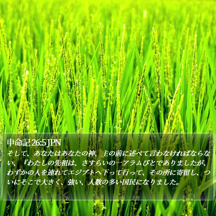 申命記 26:5 JPN Bible Study