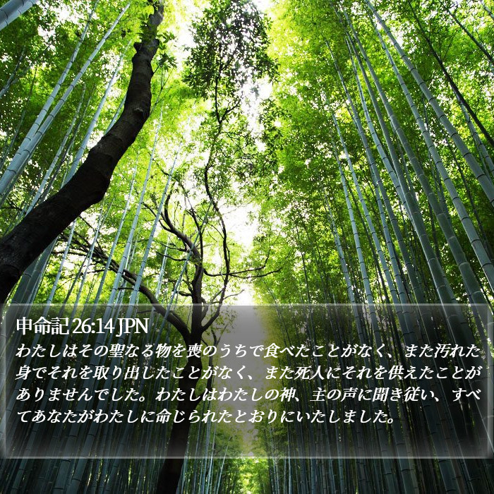 申命記 26:14 JPN Bible Study
