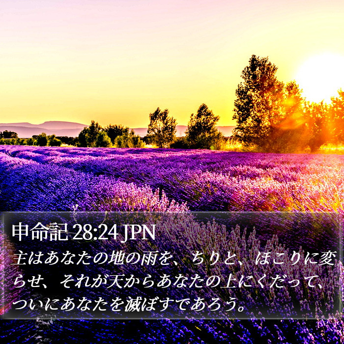 申命記 28:24 JPN Bible Study