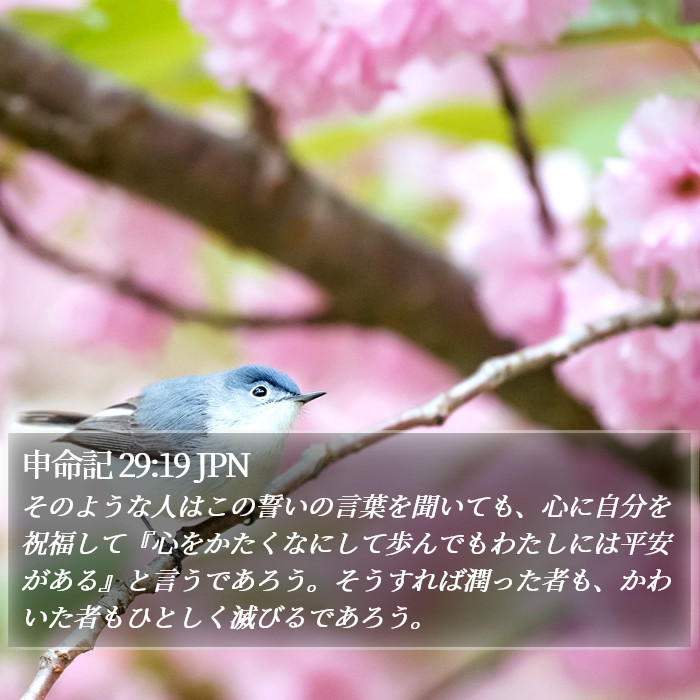 申命記 29:19 JPN Bible Study