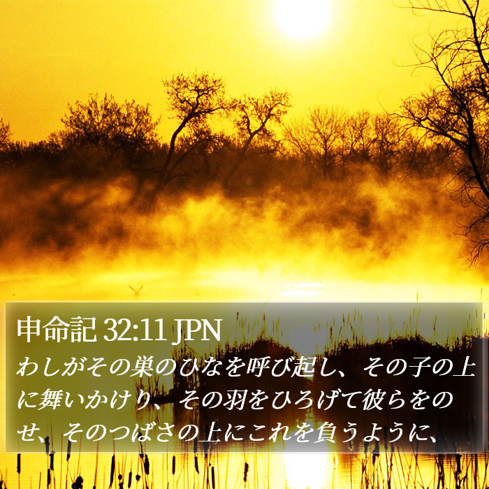 申命記 32:11 JPN Bible Study