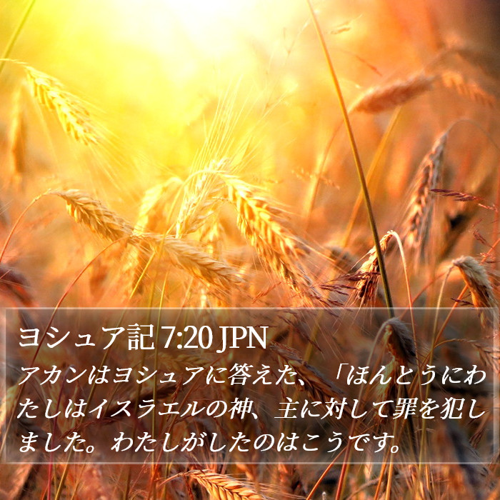 ヨシュア記 7:20 JPN Bible Study