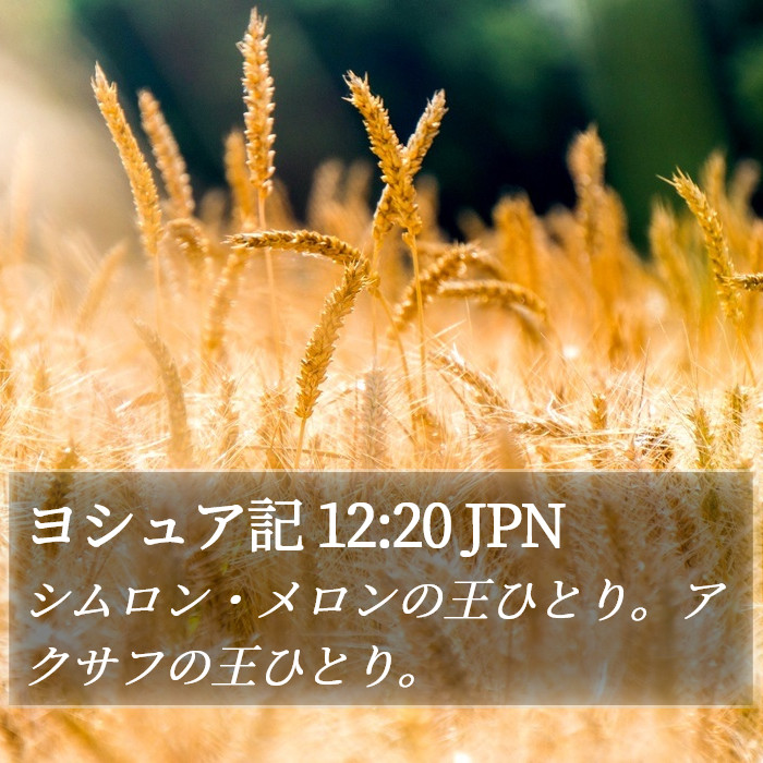 ヨシュア記 12:20 JPN Bible Study