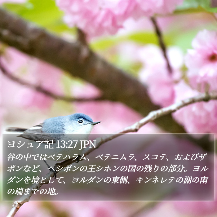 ヨシュア記 13:27 JPN Bible Study
