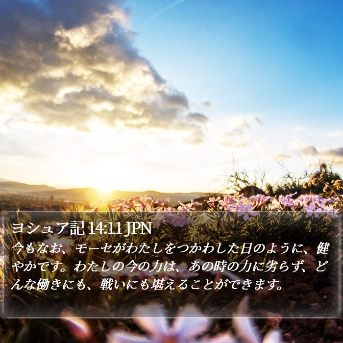 ヨシュア記 14:11 JPN Bible Study