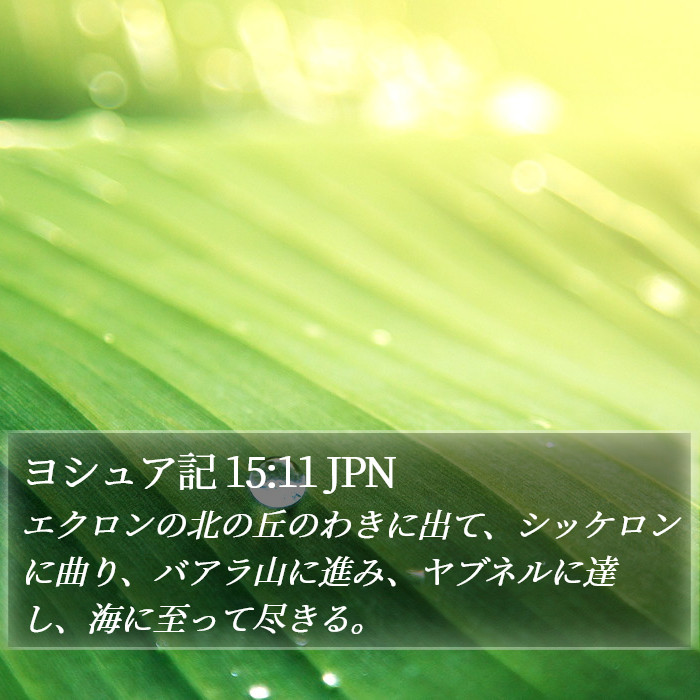 ヨシュア記 15:11 JPN Bible Study