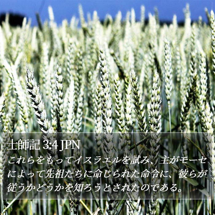 士師記 3:4 JPN Bible Study