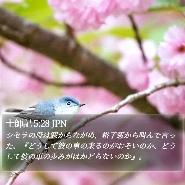 士師記 5:28 JPN Bible Study