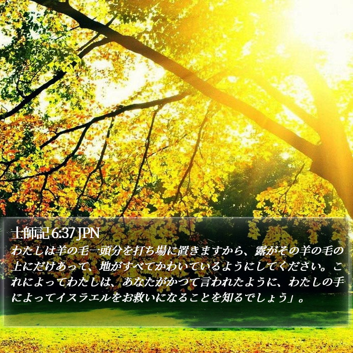 士師記 6:37 JPN Bible Study