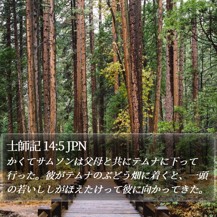 士師記 14:5 JPN Bible Study