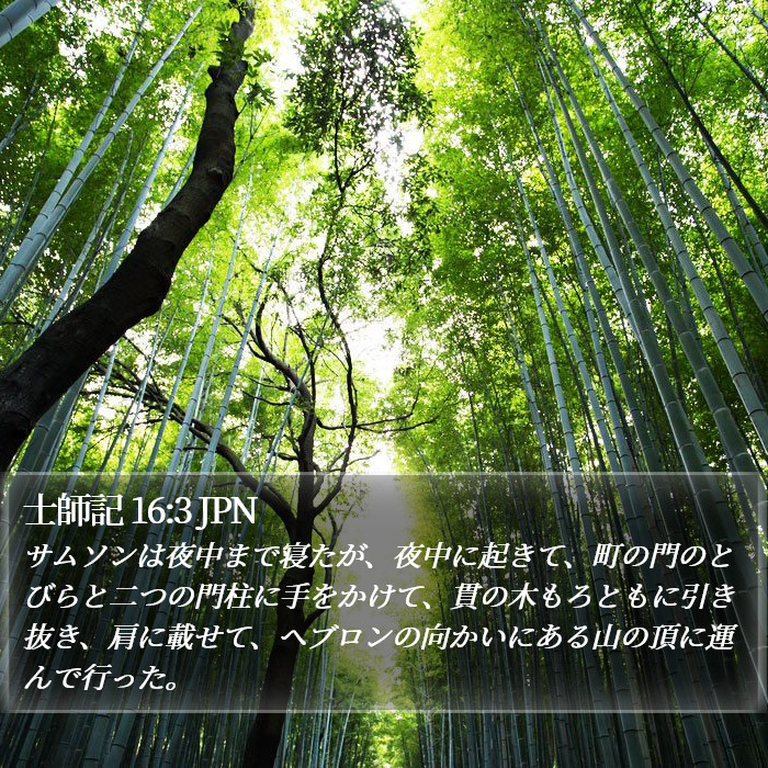 士師記 16:3 JPN Bible Study