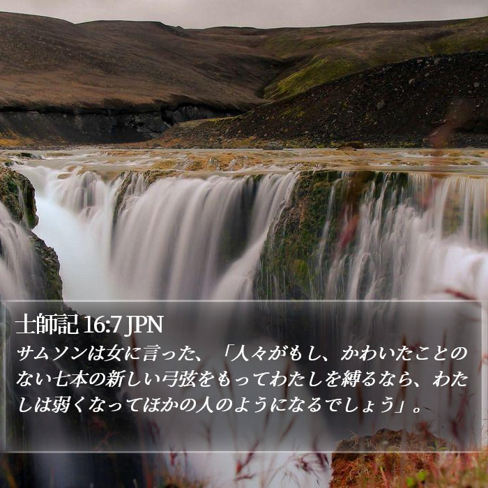士師記 16:7 JPN Bible Study