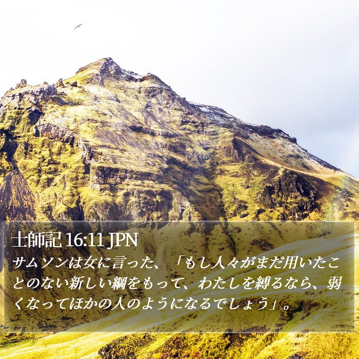 士師記 16:11 JPN Bible Study