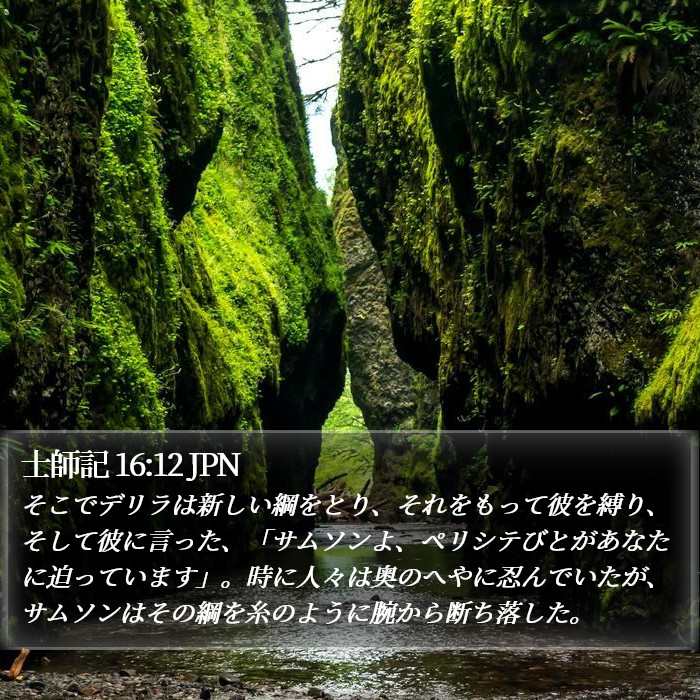 士師記 16:12 JPN Bible Study