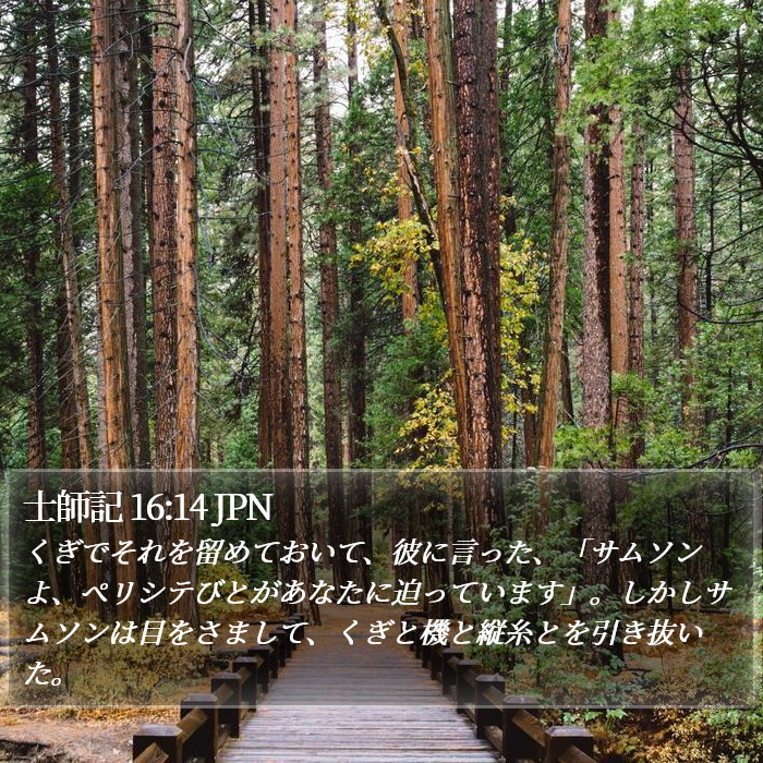 士師記 16:14 JPN Bible Study