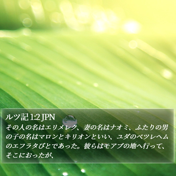 ルツ記 1:2 JPN Bible Study