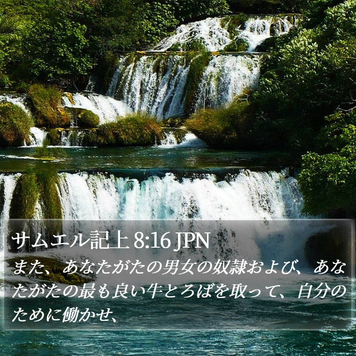 サムエル記上 8:16 JPN Bible Study
