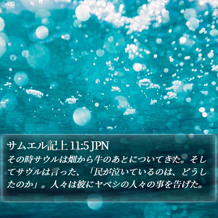 サムエル記上 11:5 JPN Bible Study