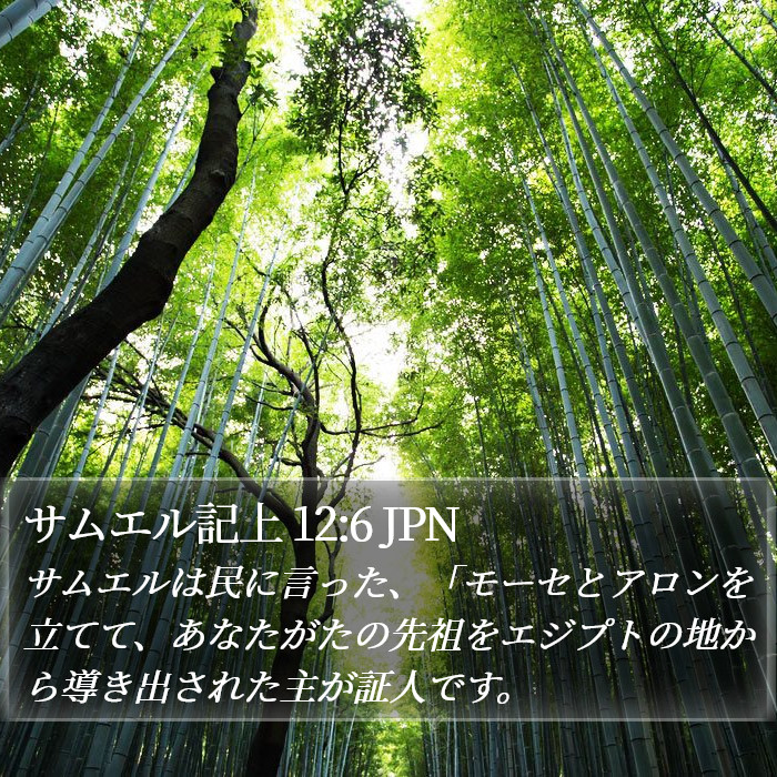 サムエル記上 12:6 JPN Bible Study