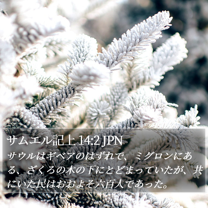 サムエル記上 14:2 JPN Bible Study