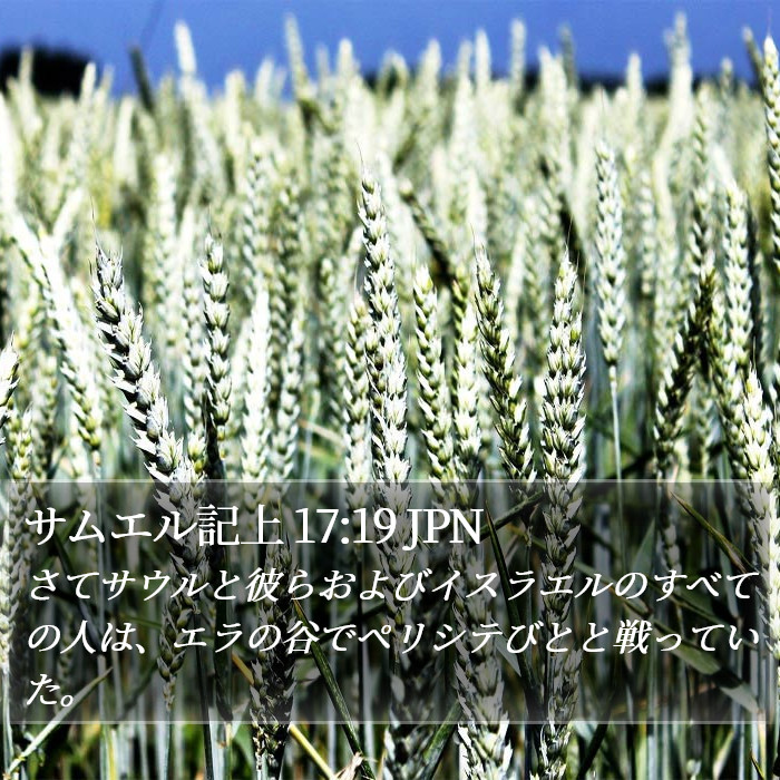 サムエル記上 17:19 JPN Bible Study