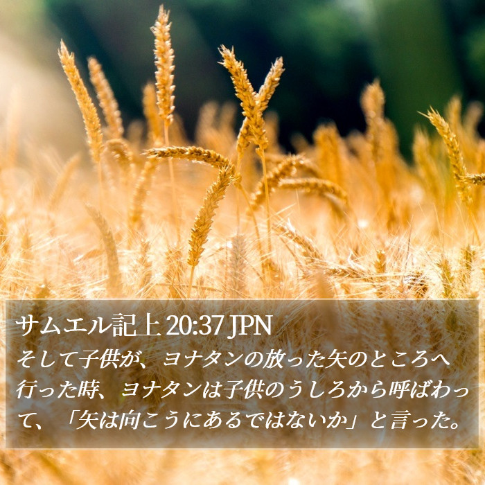 サムエル記上 20:37 JPN Bible Study