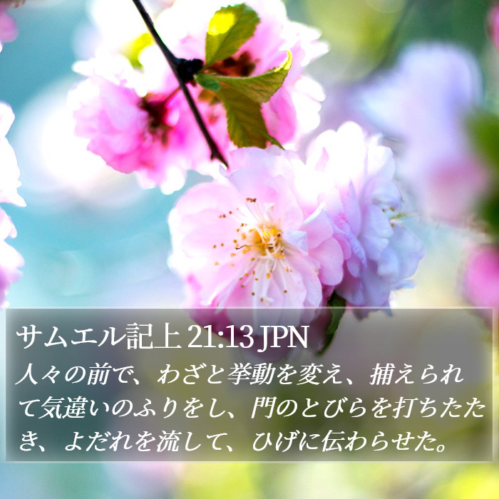 サムエル記上 21:13 JPN Bible Study