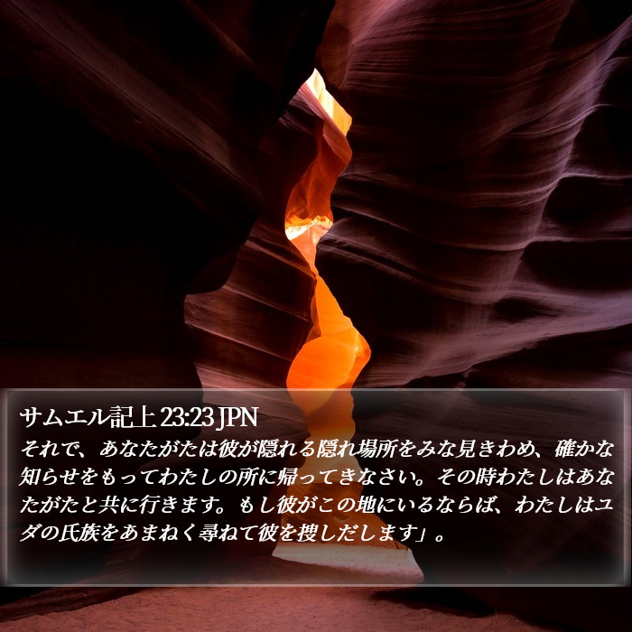 サムエル記上 23:23 JPN Bible Study