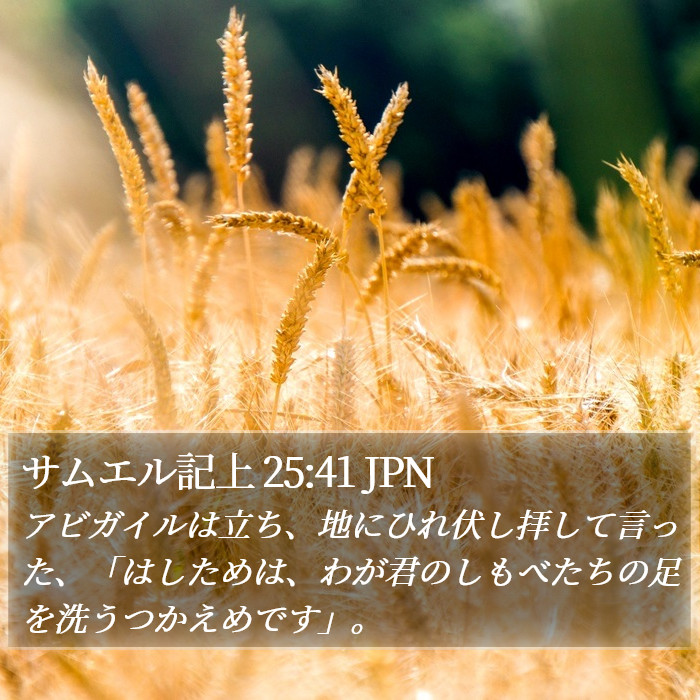 サムエル記上 25:41 JPN Bible Study