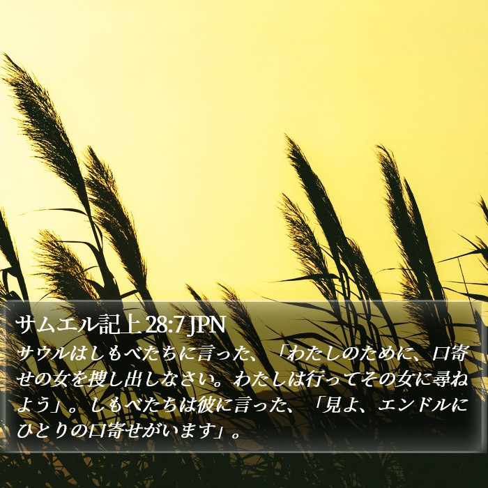 サムエル記上 28:7 JPN Bible Study