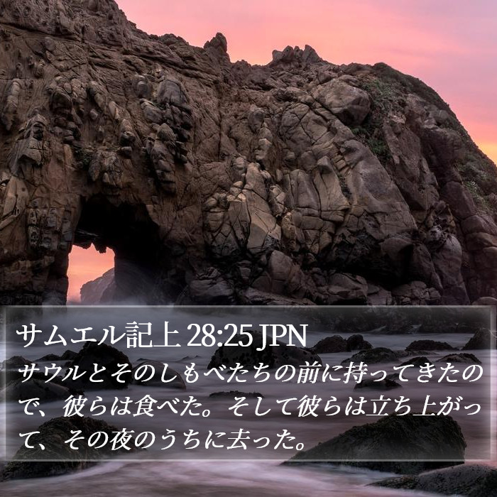 サムエル記上 28:25 JPN Bible Study