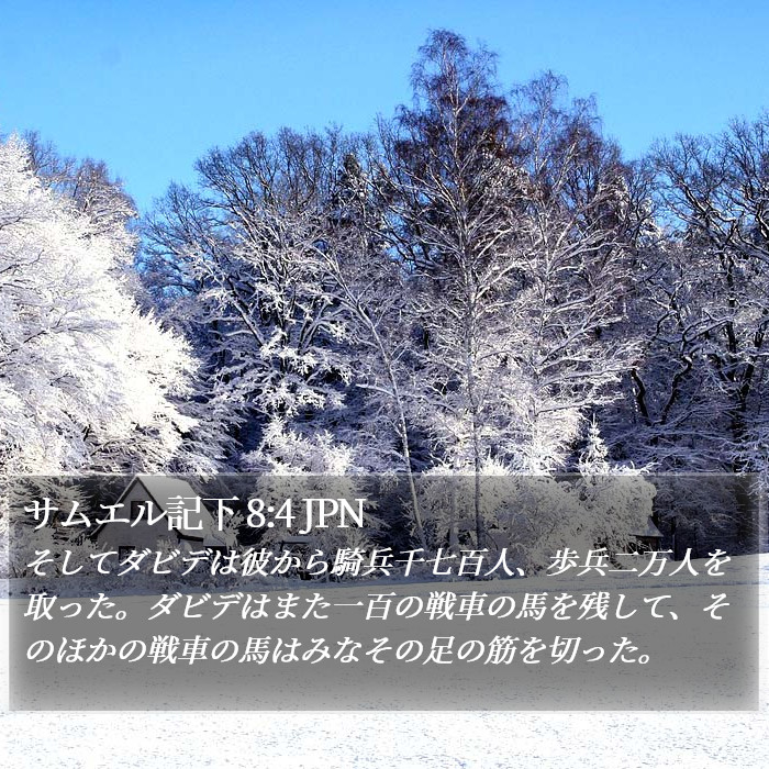 サムエル記下 8:4 JPN Bible Study