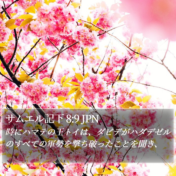 サムエル記下 8:9 JPN Bible Study