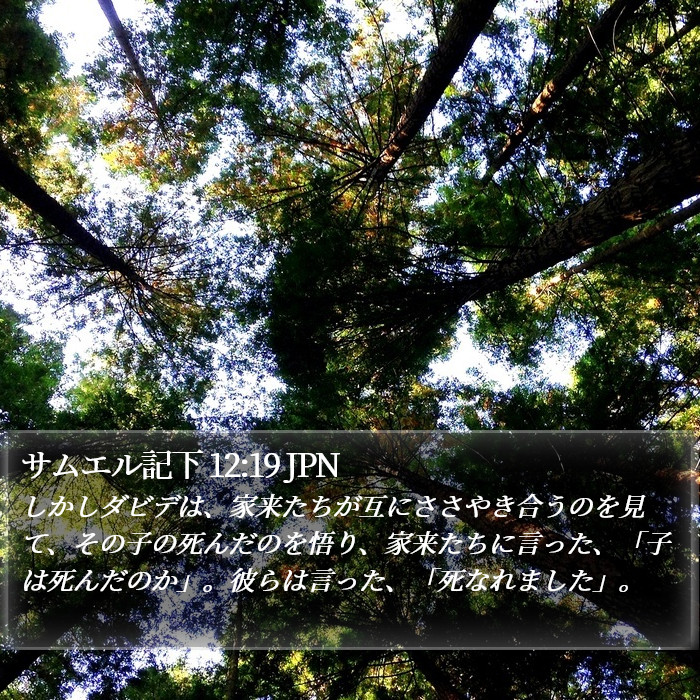 サムエル記下 12:19 JPN Bible Study