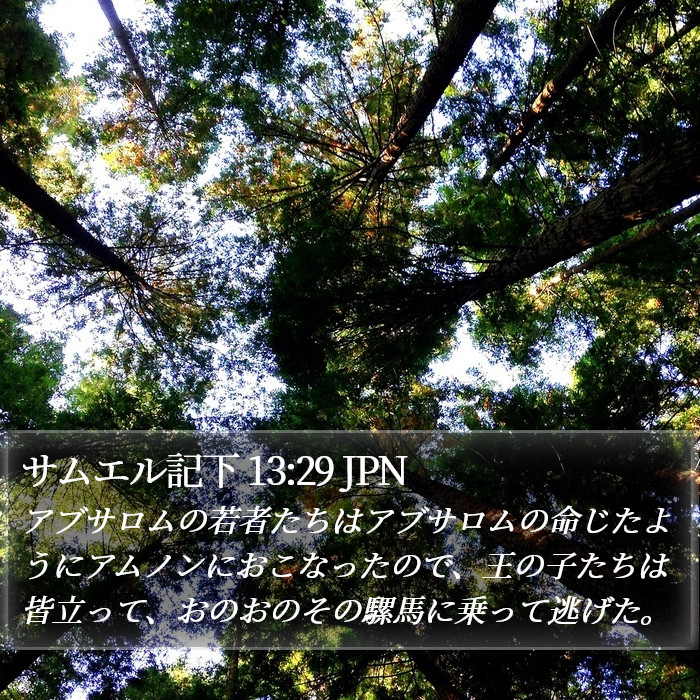 サムエル記下 13:29 JPN Bible Study